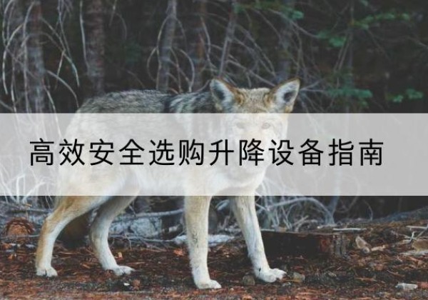 孙吴升降货梯厂家推荐-*安全选购升降设备指南