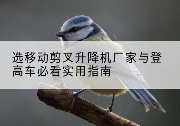 孙吴电动升降机厂家-选移动剪叉升降机厂家与登高车必看实用指南