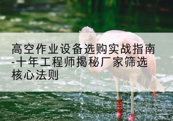 孙吴剪叉式升降机厂家-高空作业设备选购实战指南-十年工程师揭秘厂家筛选核心法则